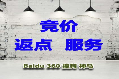 抖音信息流广告的投放策略与成功案例分析